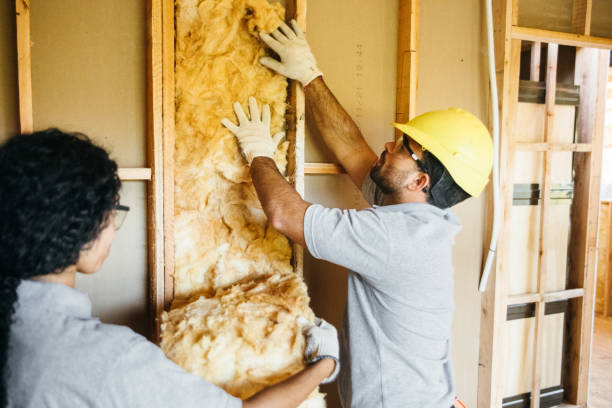 Insulation Inspection Services in Halsey, OR